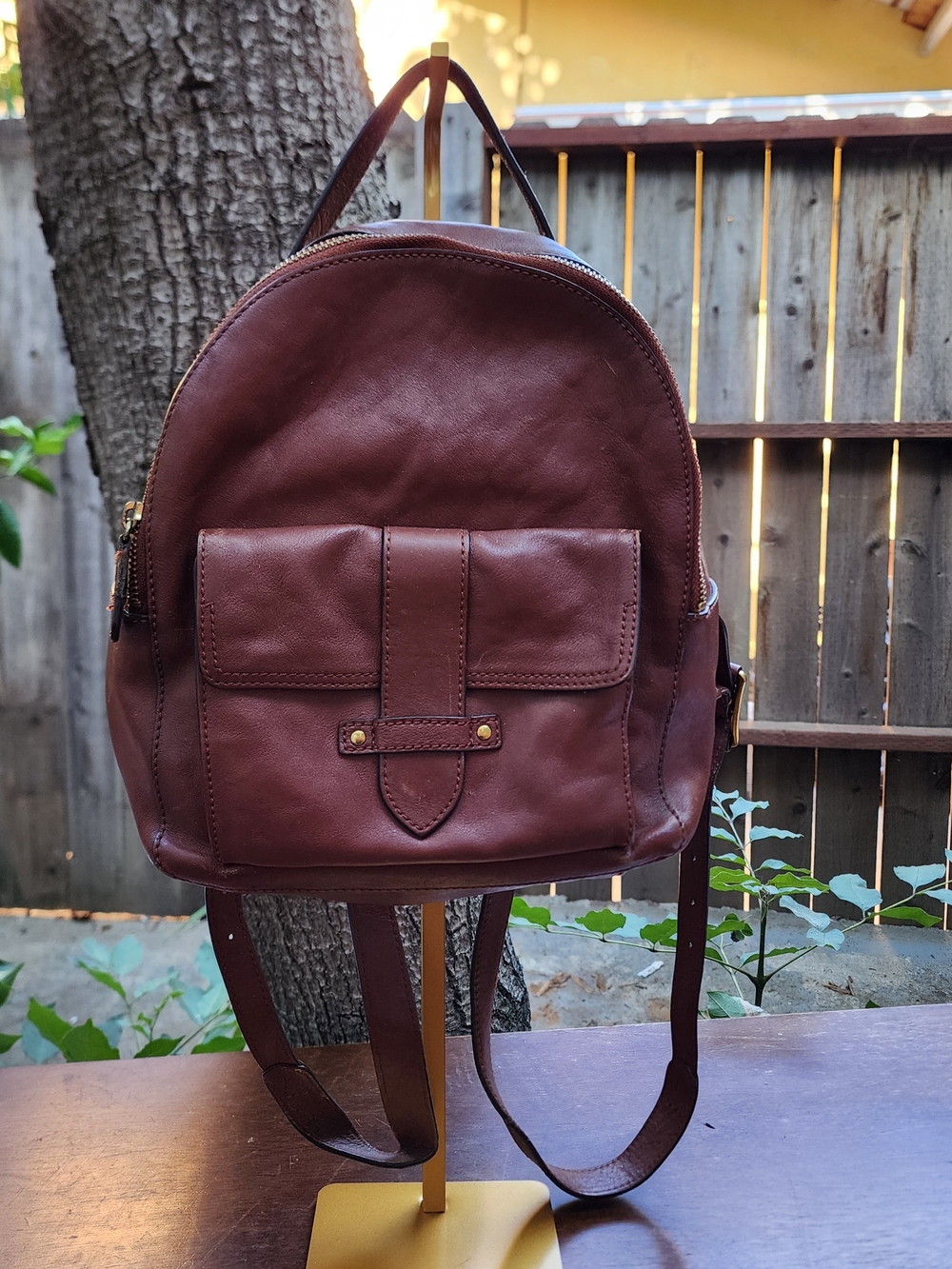 Frye Olivia Chocolate Brown Premium Leather Backpack Bag Medium